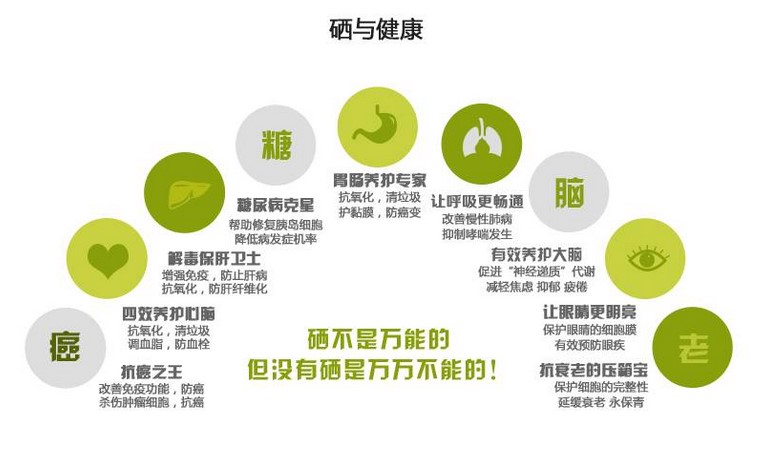 硒元素对人体的功效