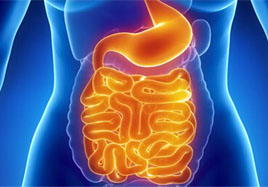 缺硒与胃肠道的关系