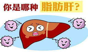 脂肪肝的高危人群及定期检查好处多