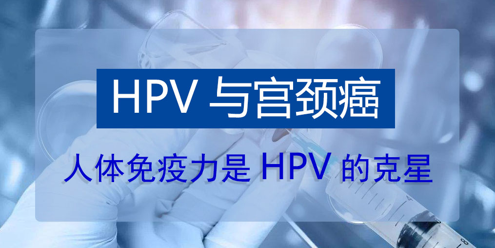 HPV病毒真的那么可怕吗？人体免疫力是HPV的克星