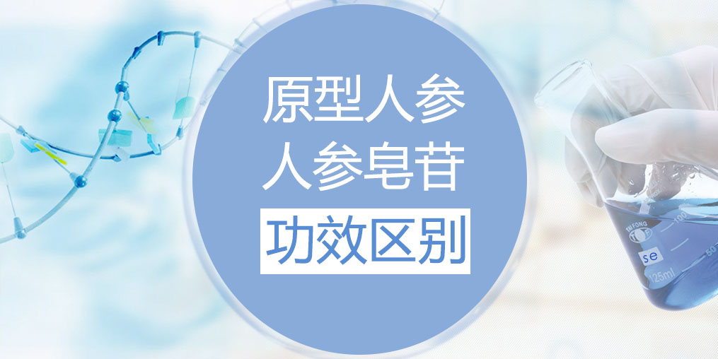 人参和人参皂苷的功效区别在哪里？