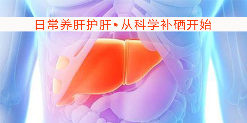   秋季保护肝脏健康，离不开微量元素硒的保护