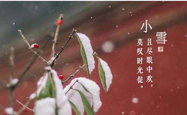 今日小雪 | 节气养生注意“外防湿冷、内防燥热”