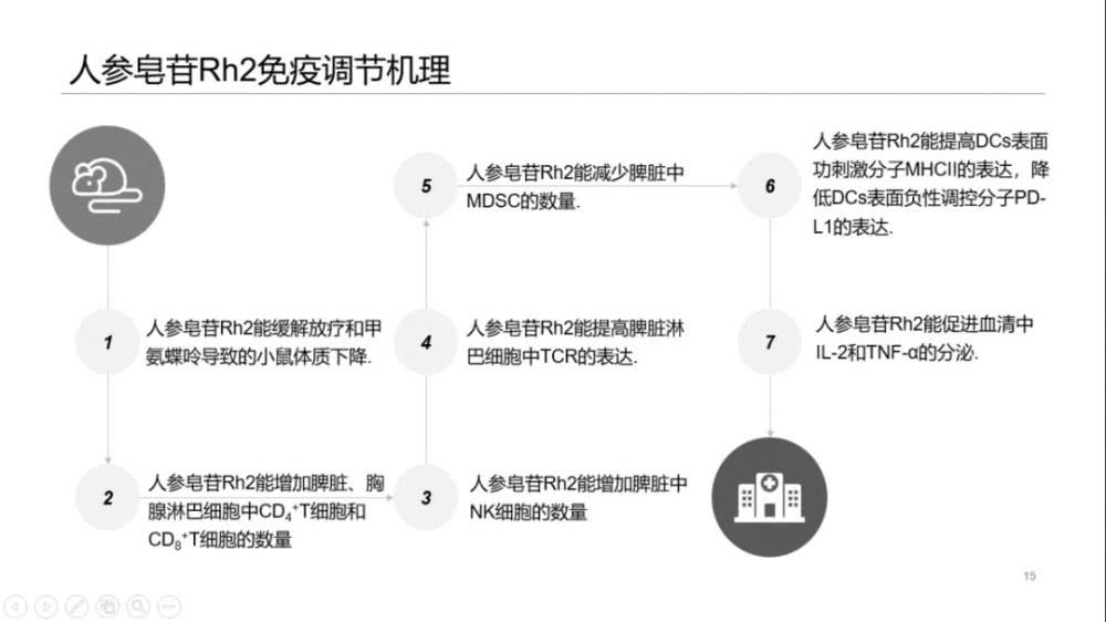 人参皂苷