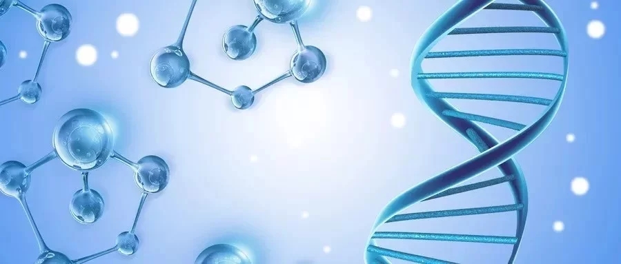 补硒