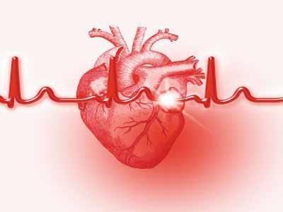 辅酶Q10养护心机，对心脏的作用
