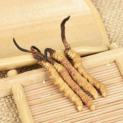 提高免疫力，冬虫夏草是个好帮手