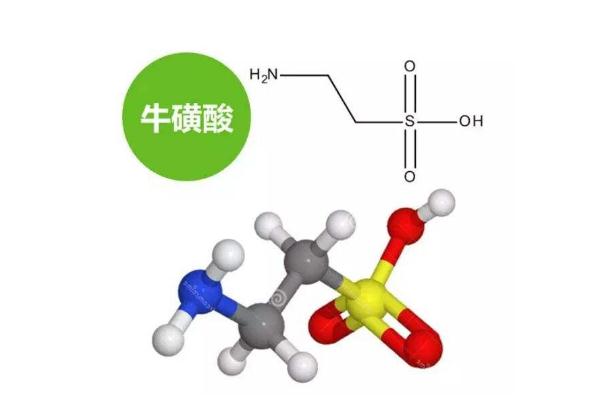 食品或饮料中的牛磺酸对人的记忆力有好处