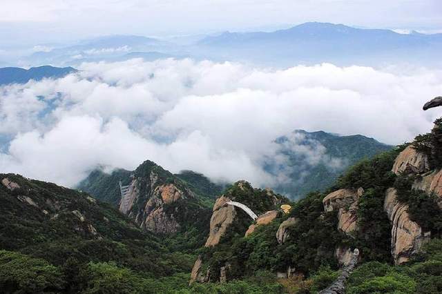 大别山的灵芝孢子粉为什么好？