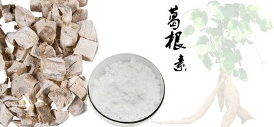原来葛根素有这么多作用