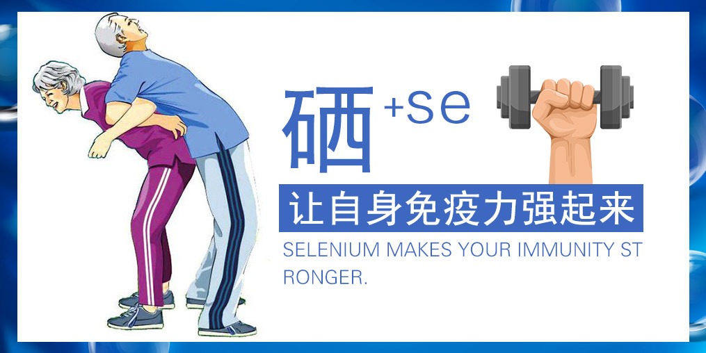 硒在人体健康中的作用：从抗氧化到免疫支持