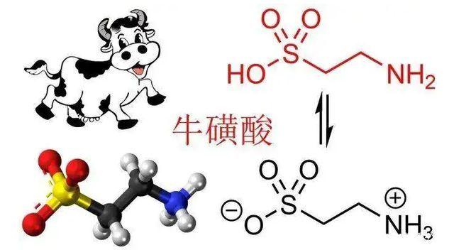 牛磺酸是健康的关键营养元素
