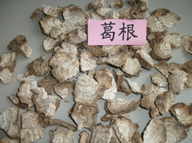 葛根的药用价值与作用