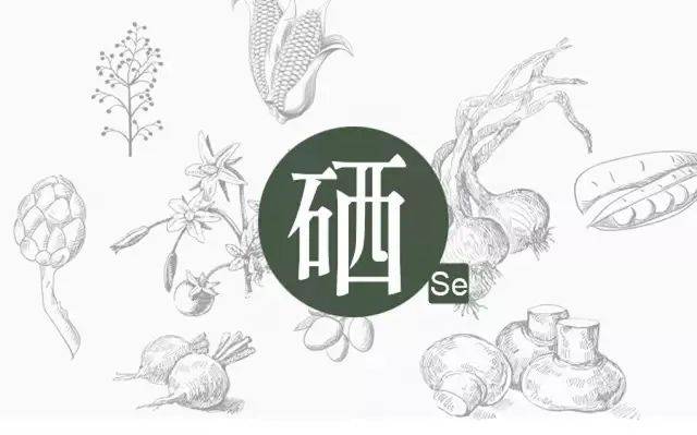 如何科学补硒？