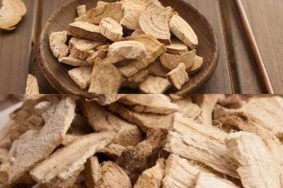 小知识：葛根的广泛作用