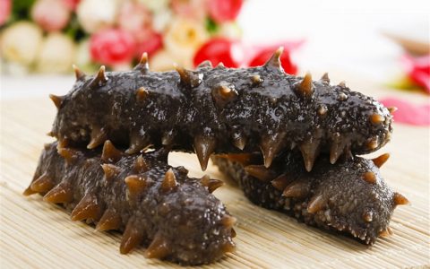 海参：一种营养丰富的健康食品