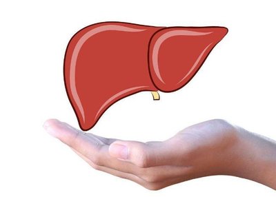 脂肪肝对人体的危害