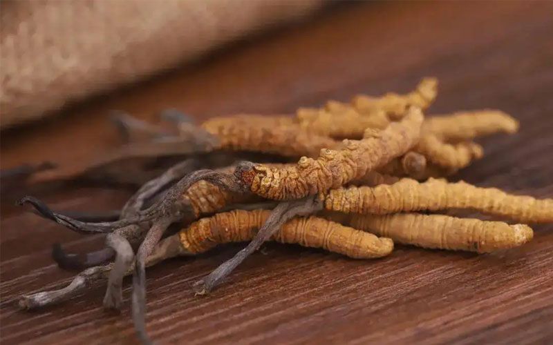 别再瞎吃！冬虫夏草的核心功效全在这