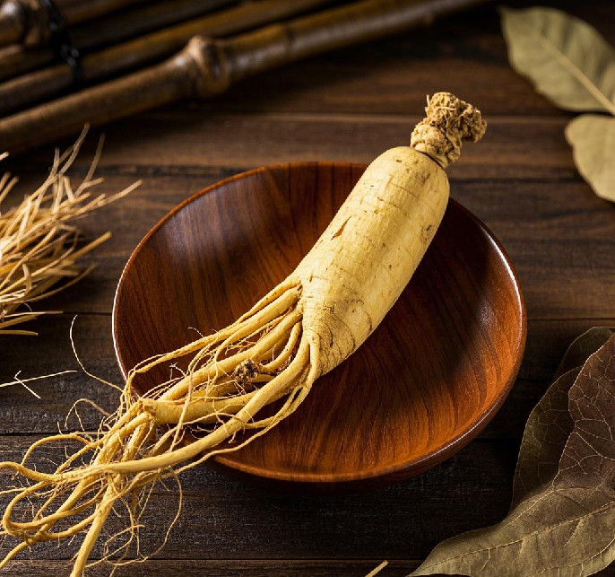 人参 —— 藏在深山的养生瑰宝