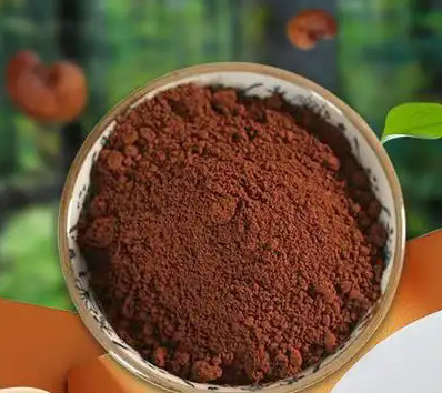 灵芝孢子粉：千年仙草的现代健康密码